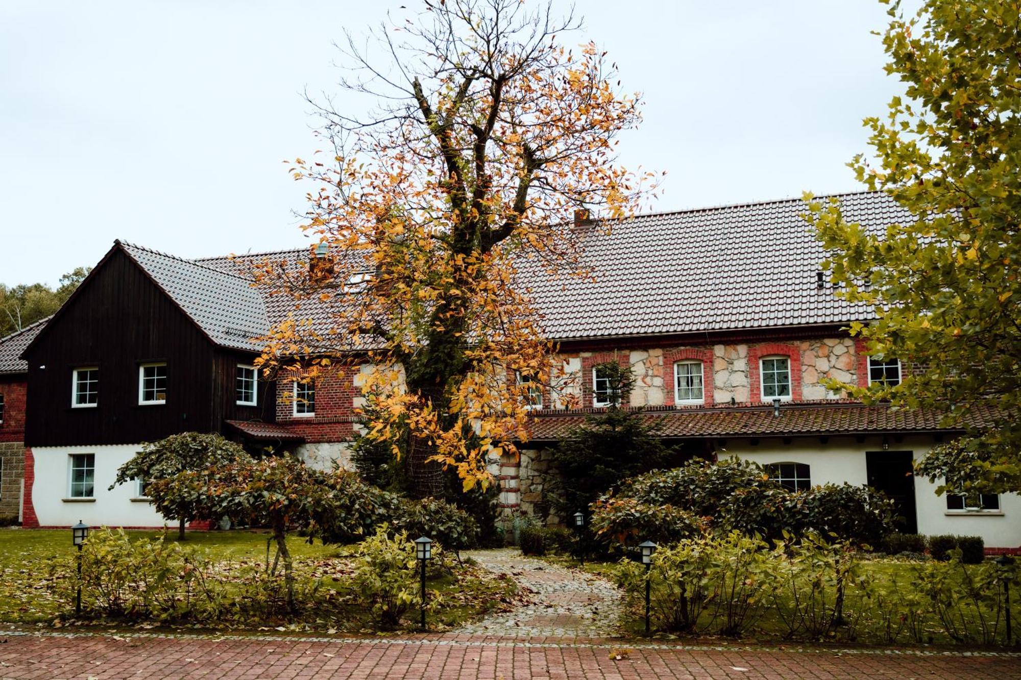 Villa Na Uboczu à Gryfów Śląski Extérieur photo