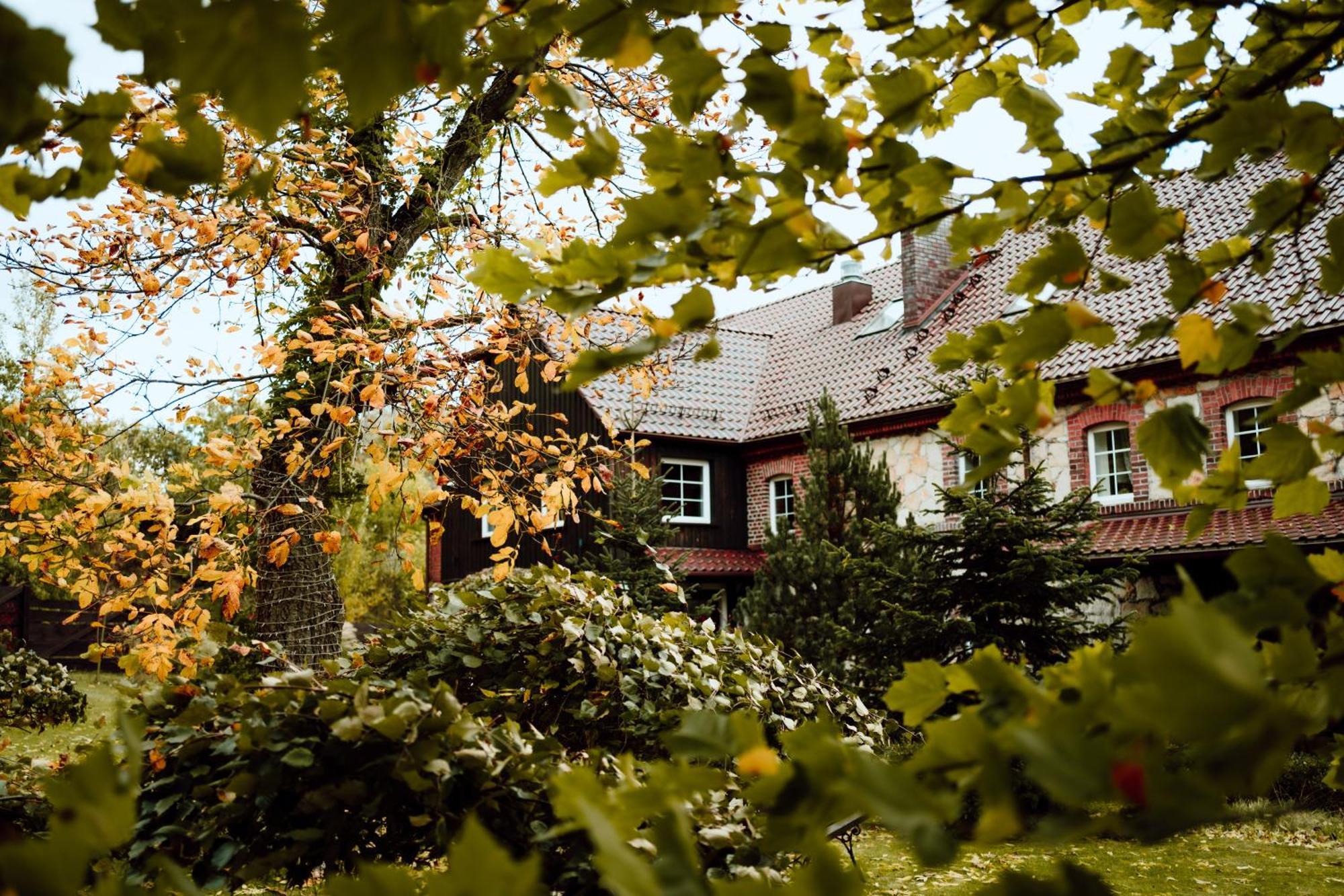 Villa Na Uboczu à Gryfów Śląski Extérieur photo